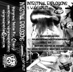 Miserable Absence Of Harmony : Intestinal Explosions - 5 Way Split